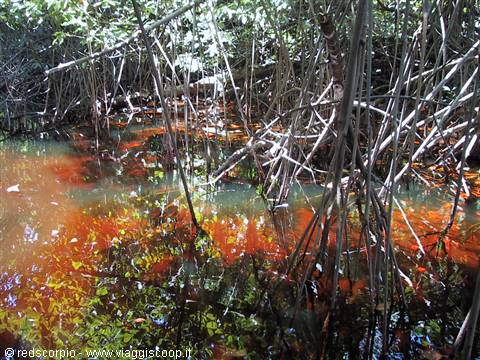 il black river