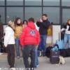 Ancuni gnari  fuori dall'aeroporto prima della partenza REGNO UNITO 