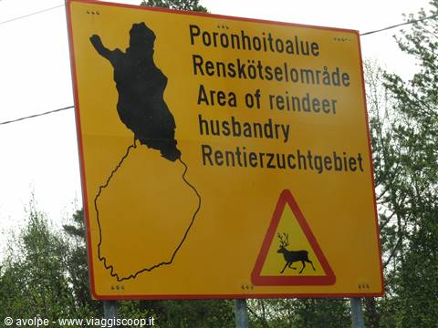Segnali stradali