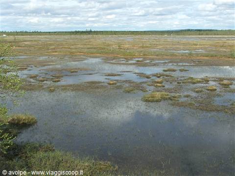 Acqua e terra.