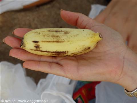 Frutta