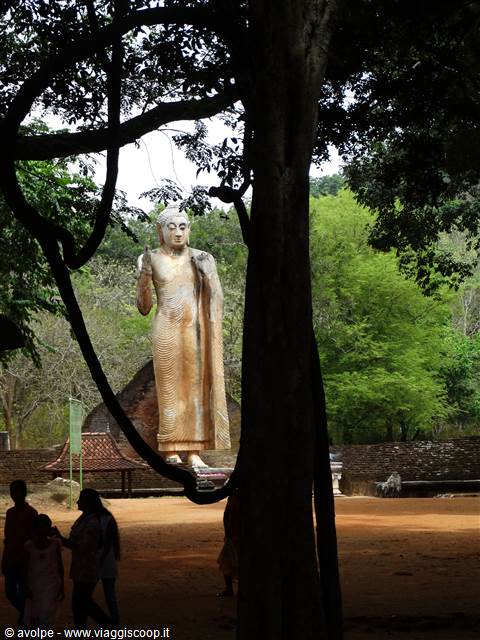 Buddha.