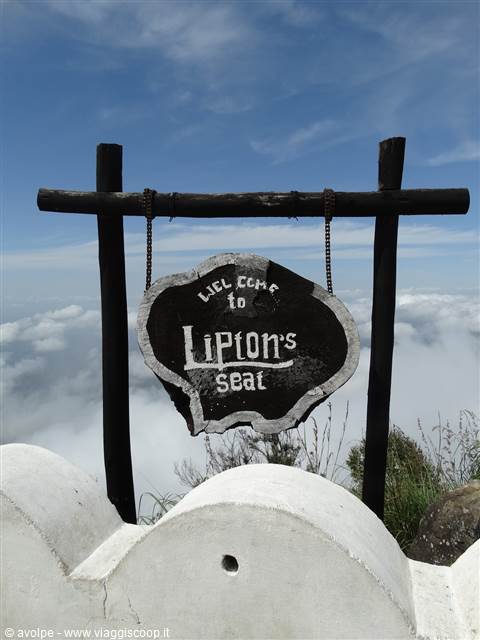 Lipton's seat