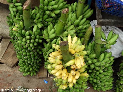 Frutta