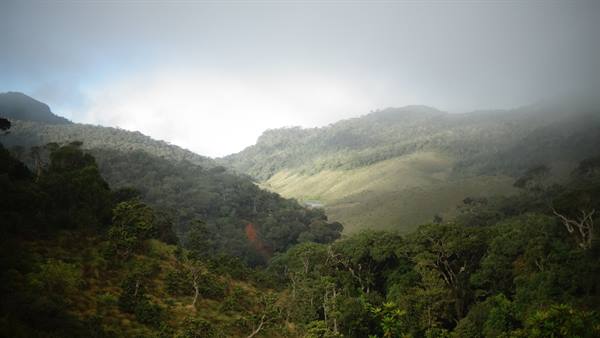 Horton plains