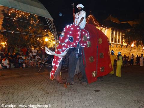 Kandy, Perahera