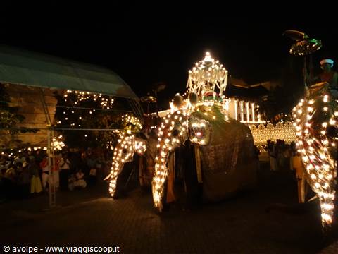 Kandy, Perahera