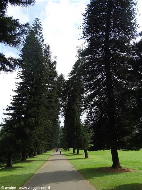 Kandy, orto botanico