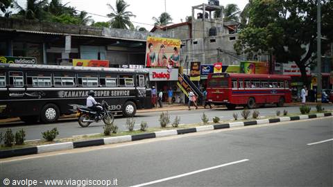 Autobus