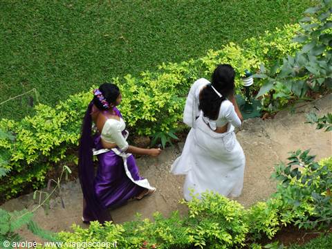 Scene da un matrimonio