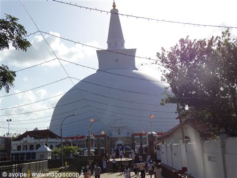 Anuradaphura