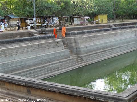 Anuradaphura