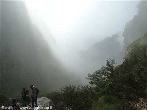 Sulla Table Mountain