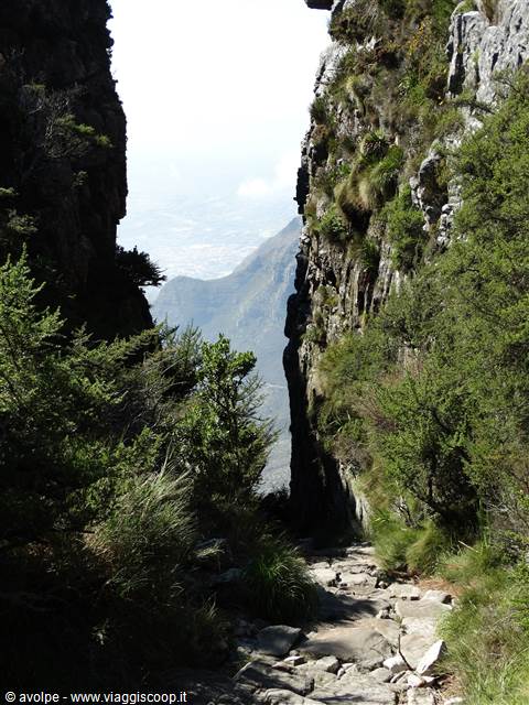 Sulla Table Mountain