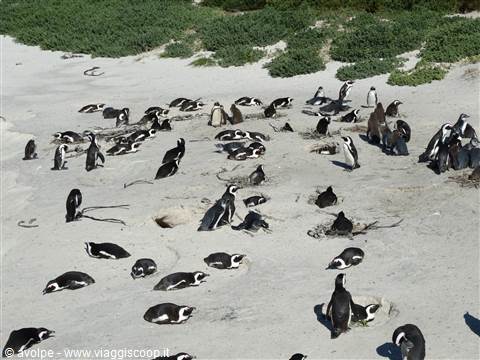 Simon's Town
