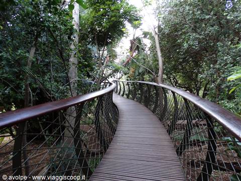 Giardino di Kirstenbosch