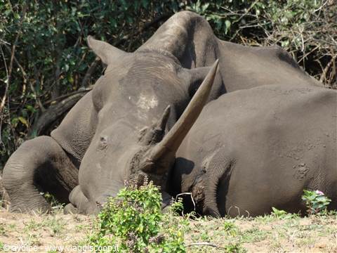 iSimangaliso
