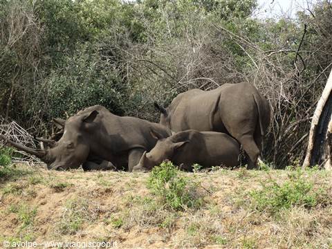 iSimangaliso