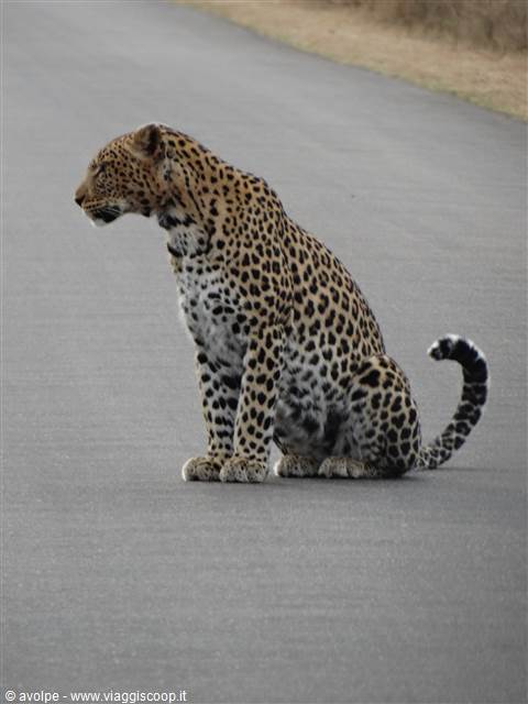 Kruger