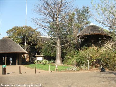 Kruger