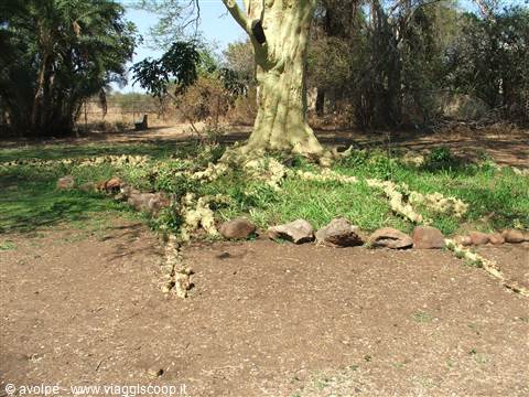Kruger