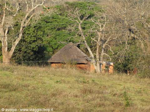 Mabuda Farm