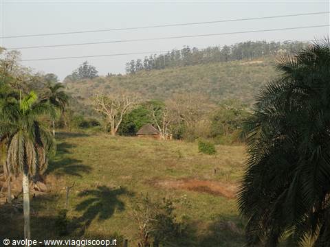 Mabuda Farm