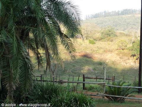 Mabuda Farm