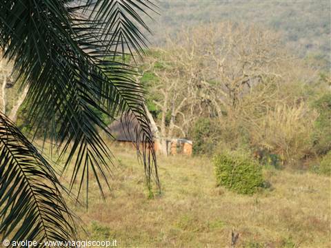 Mabuda Farm