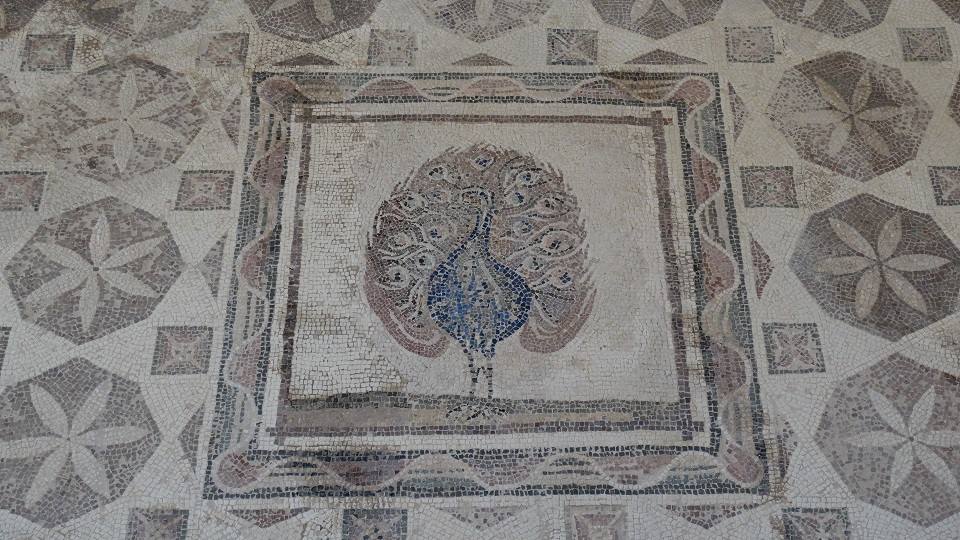 Kato Paphos