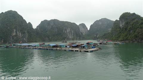Ha Long