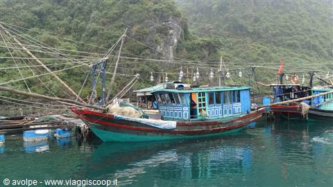Ha Long