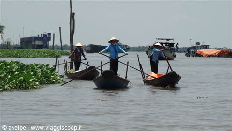 Delta del Mekong