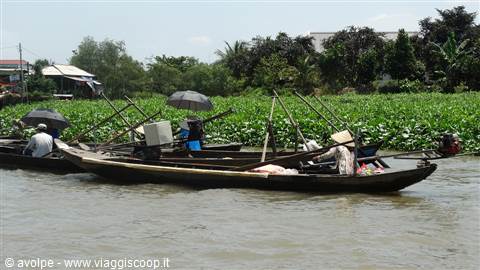 Delta del Mekong