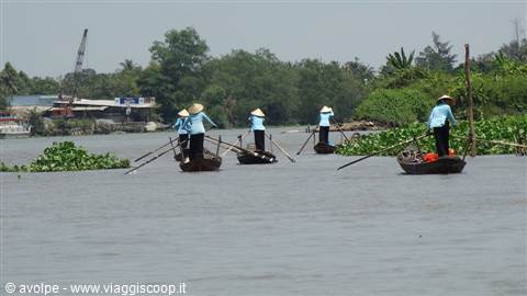 Delta del Mekong