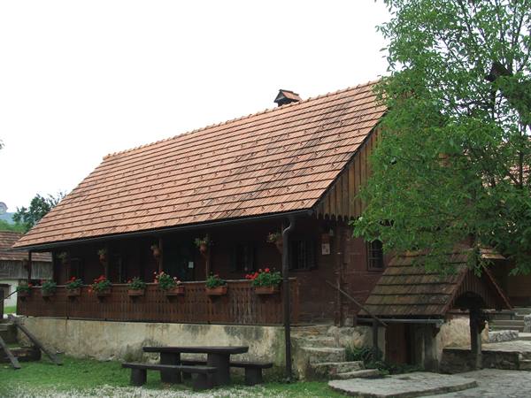 dai Martinovi