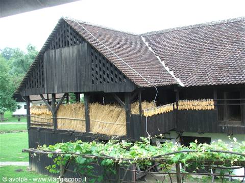 Kurnrovec,villaggio natale di Tito