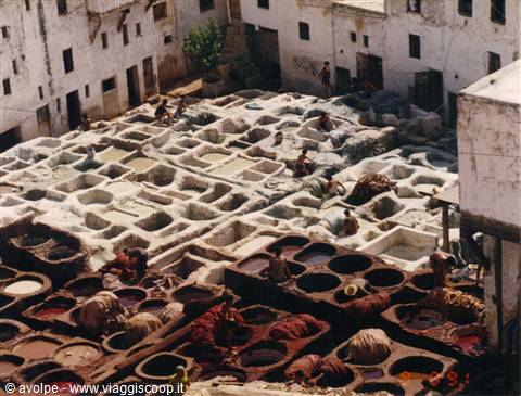 Fes, la zona dei tintori