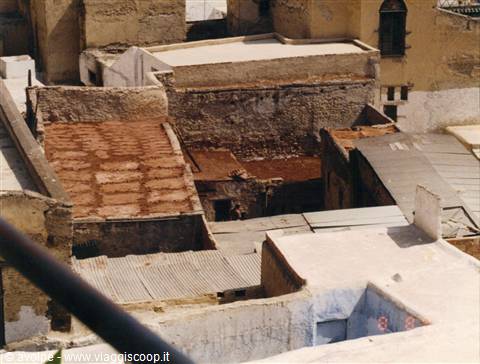 Fes, la zona dei tintori