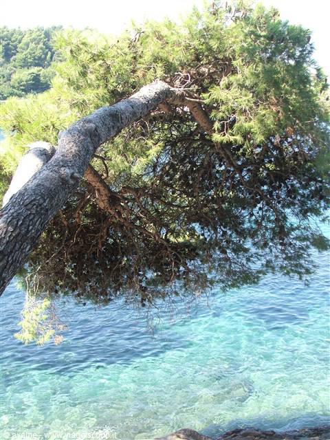 mare incredibile