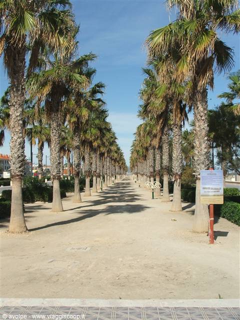 La Malvarrosa, lungomare