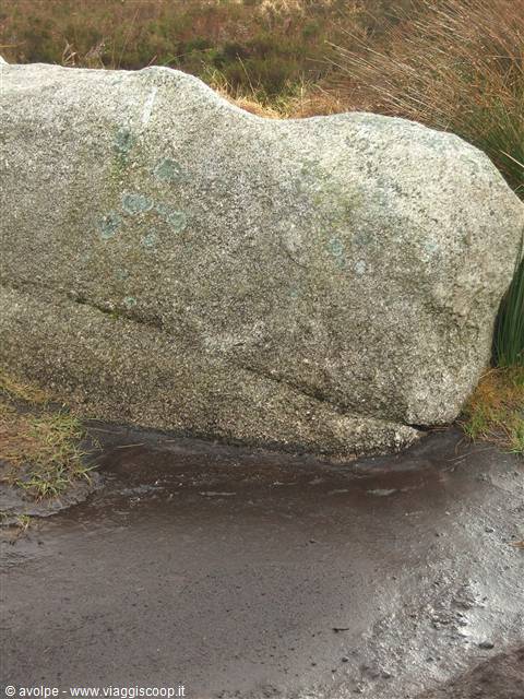 Wicklow Hills,torba