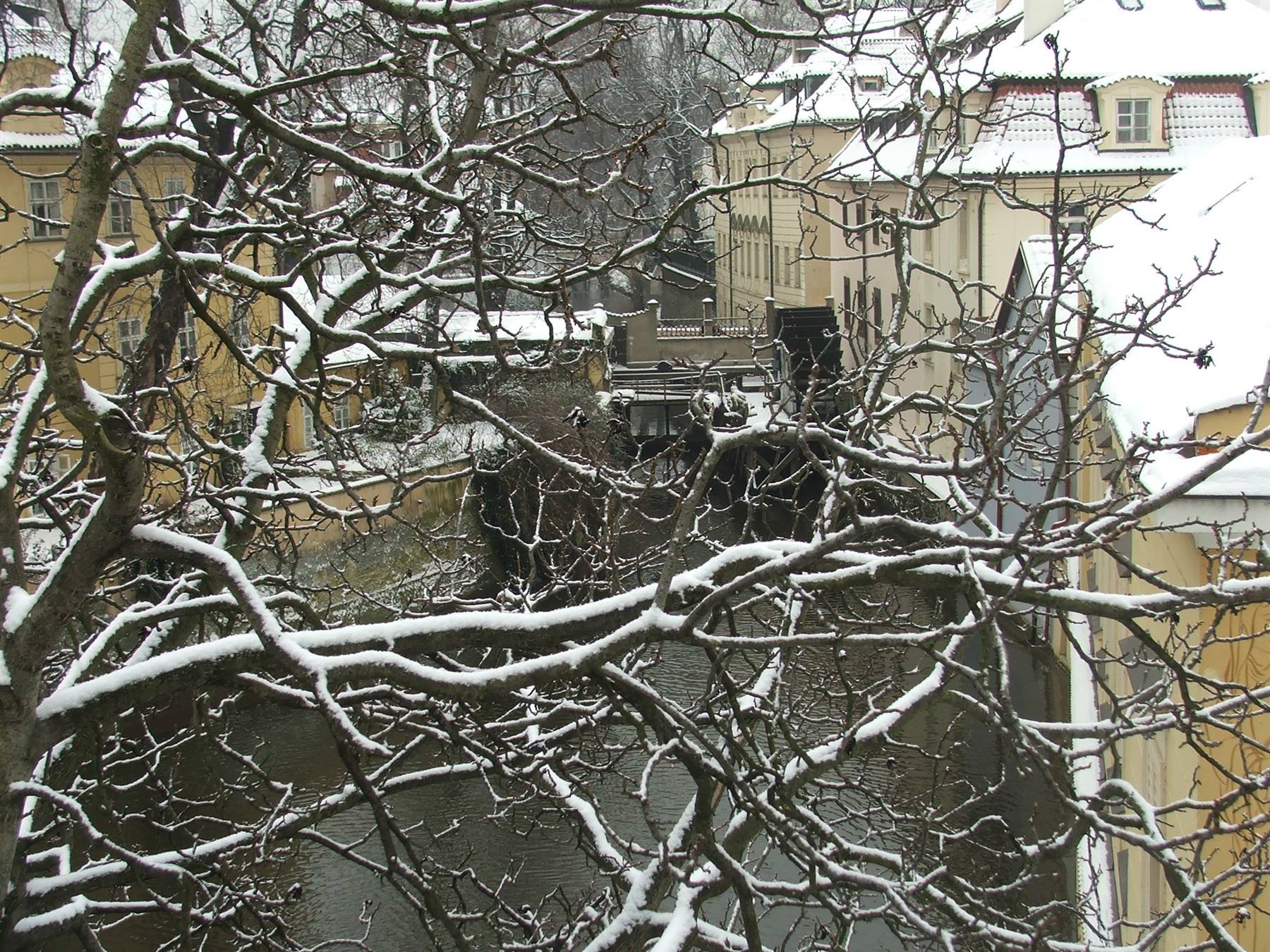 Kampa, particolare