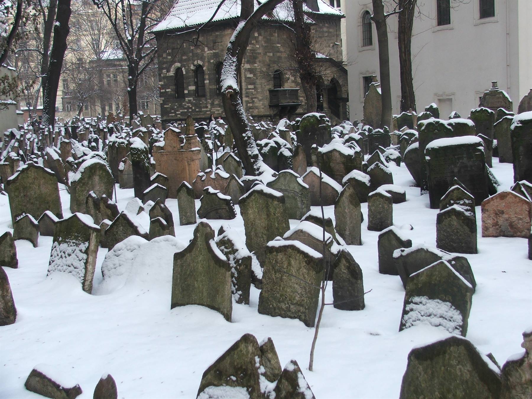Cimitero Ebraico