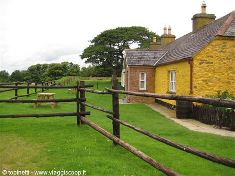 Muckross farm