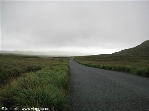 Connemara