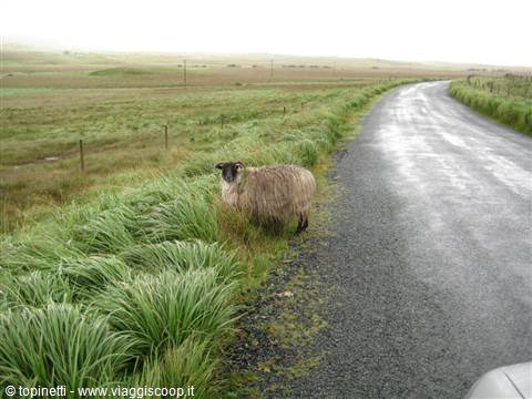 Connemara
