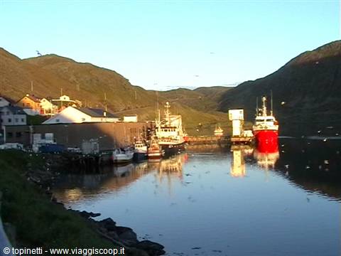 Kamøyvær ( Norvegia)