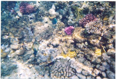 I colori del mare