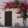  ITALIA 